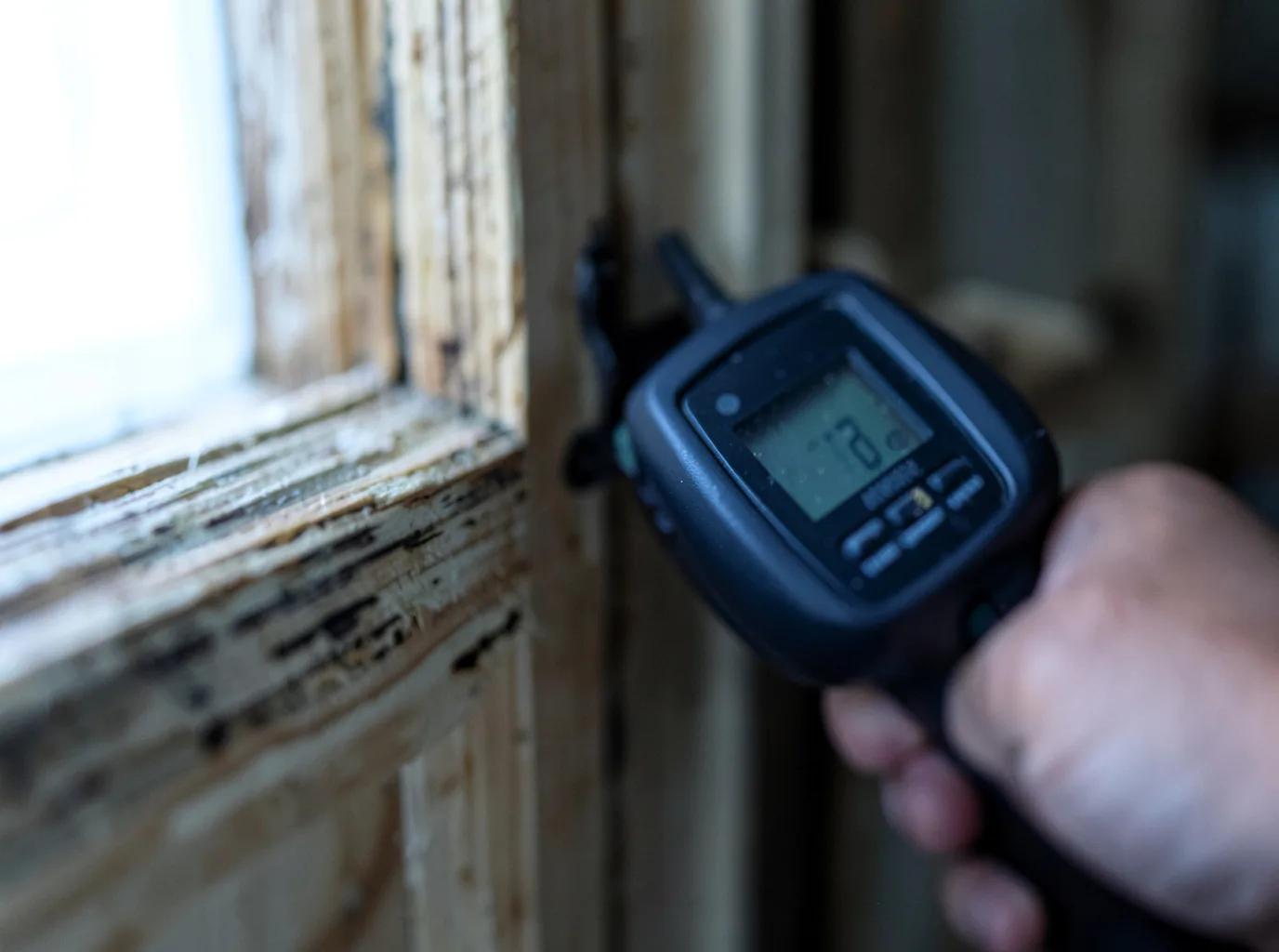 Commercial Water Damage Restoration in Bear Branch, KY